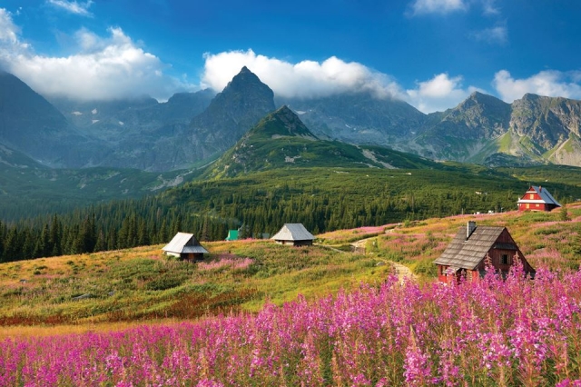 Guided walking holiday at Zakapone and the Polish Tatras